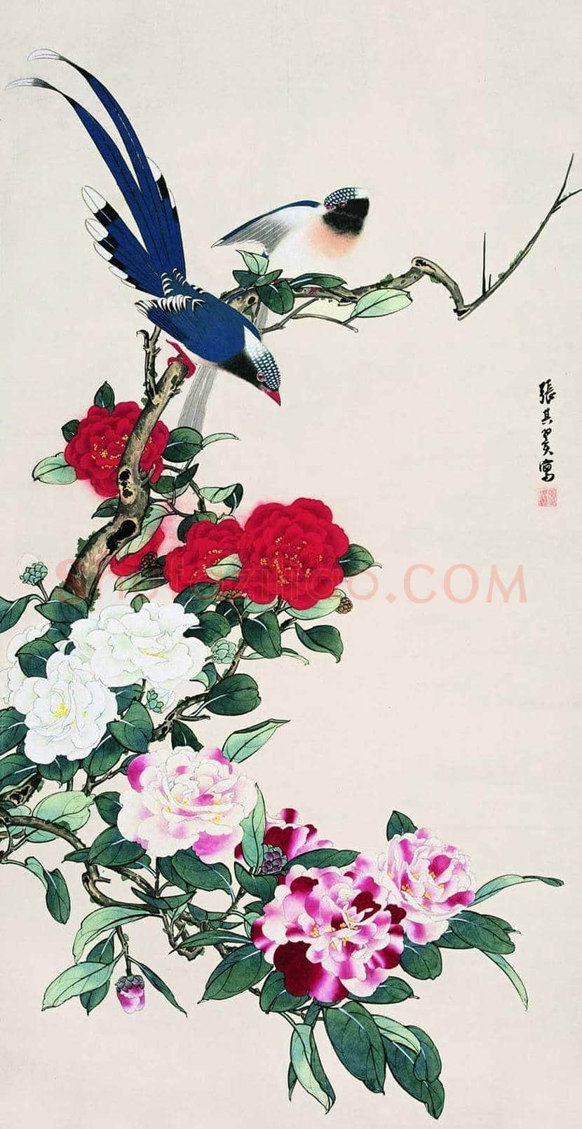 张其翼花鸟画作品欣赏 | 书画科普