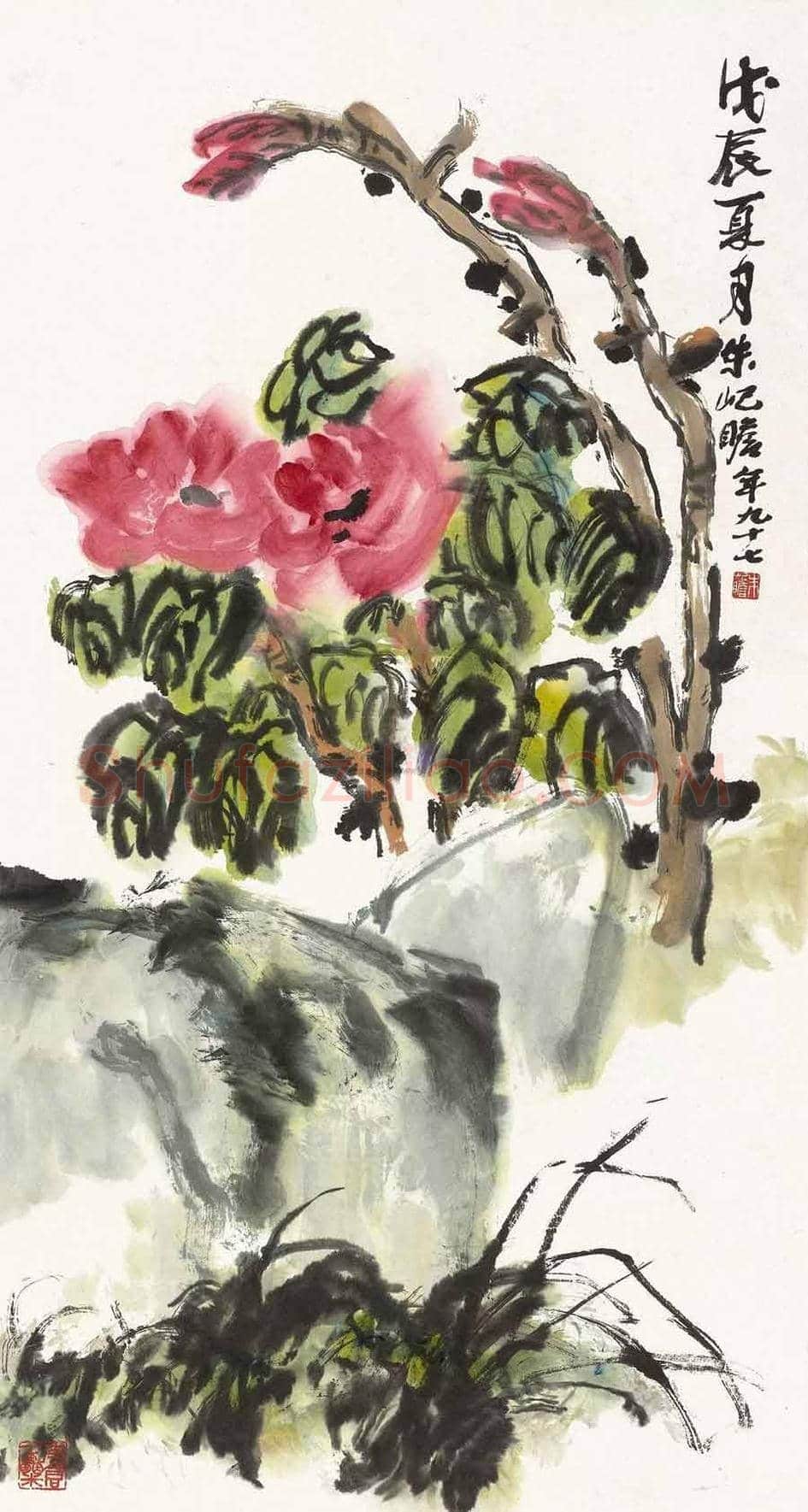 名家笔下的牡丹花【高清大图】 | 书画讲解