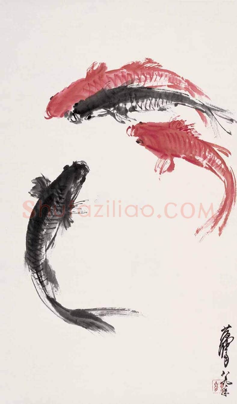 黄胄画鱼作品欣赏 | 书画科普