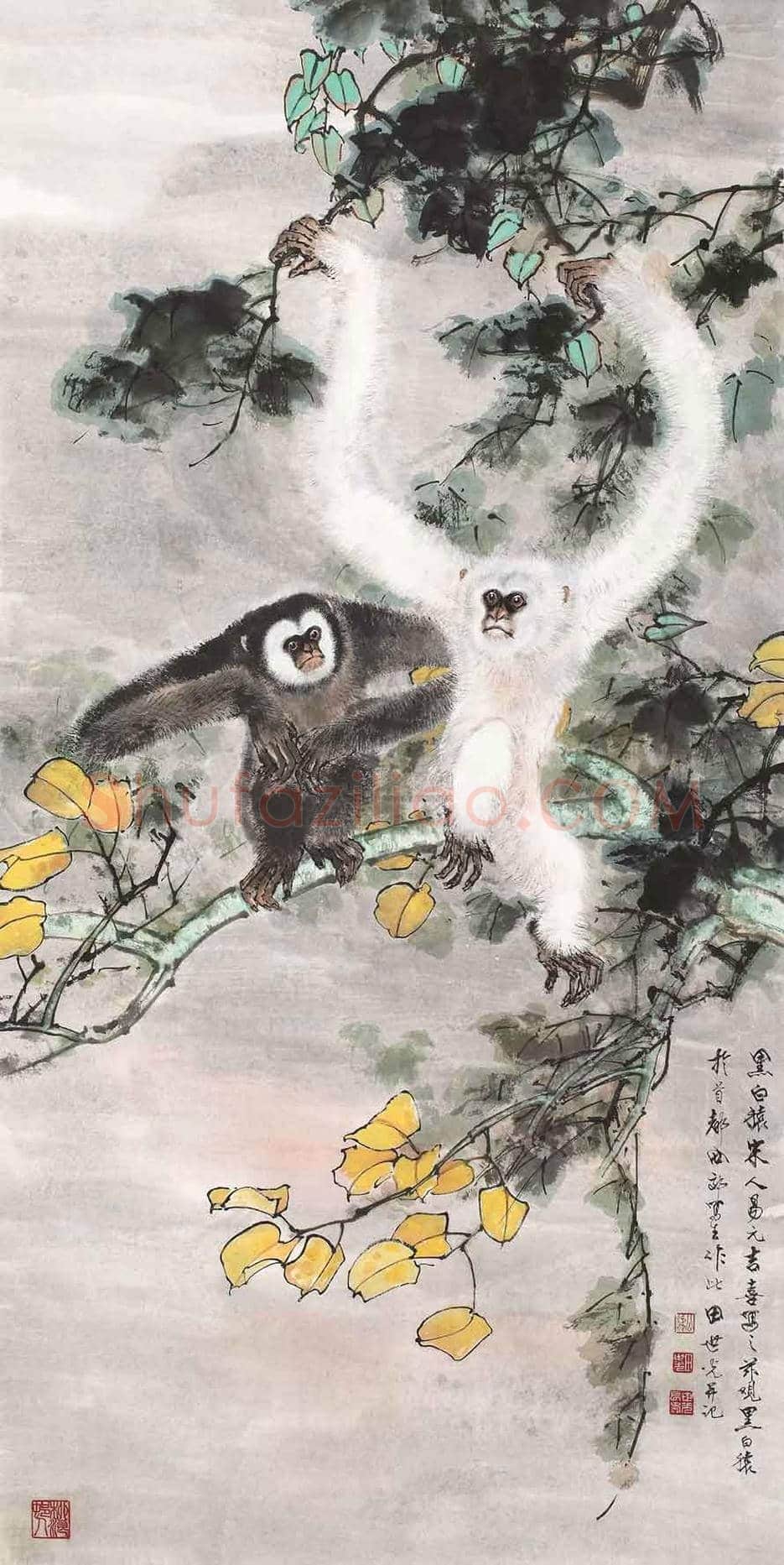 田世光猿猴作品精选 | 书画文摘