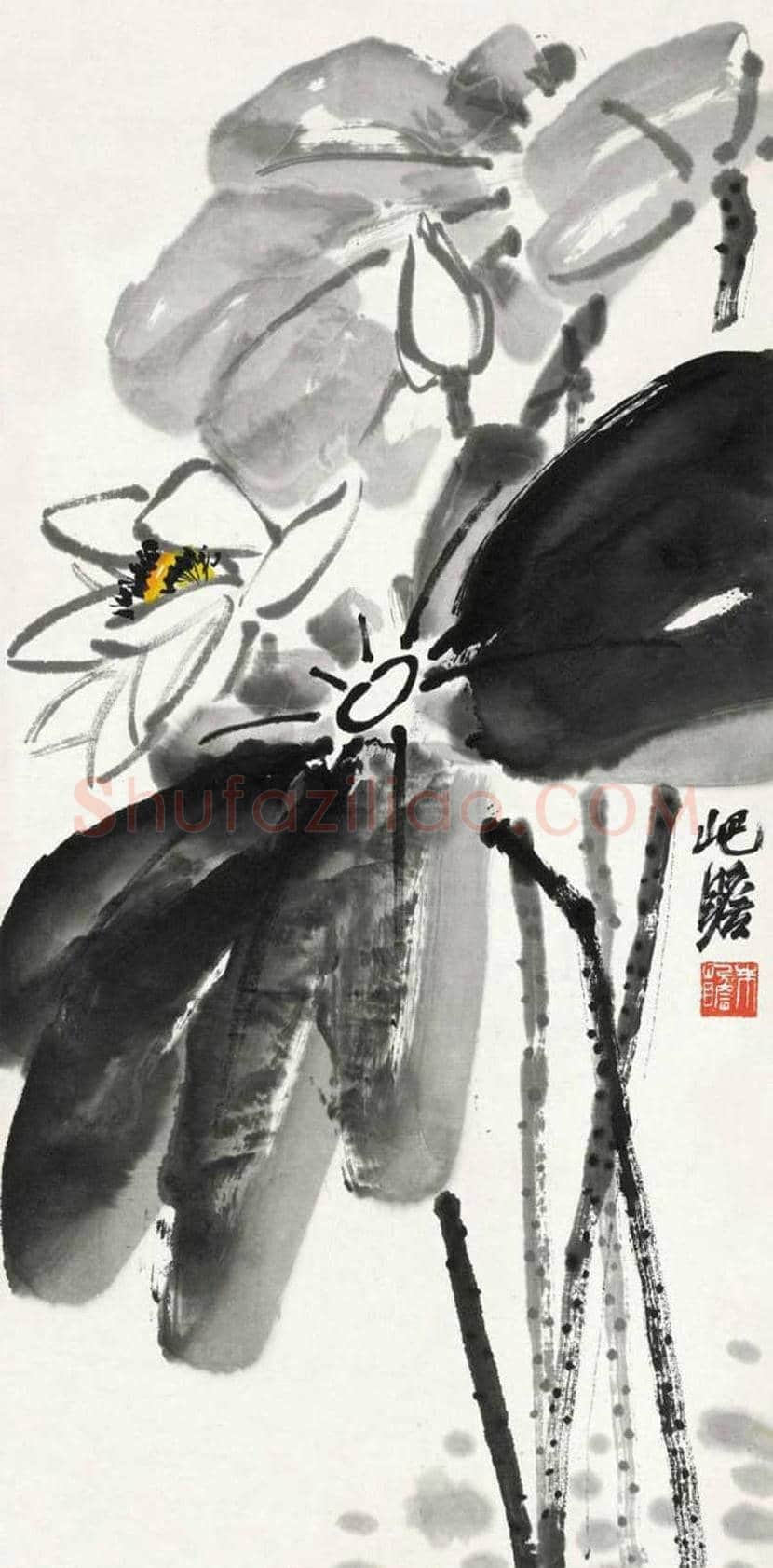 朱屺瞻荷花作品欣赏 | 书画科普