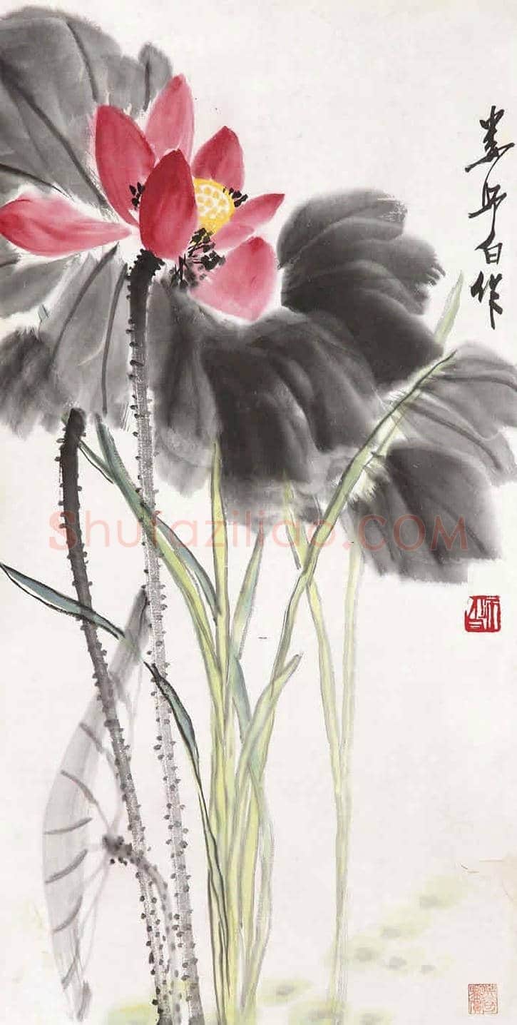 王雪涛娄师白荷花作品比较 | 书画学堂
