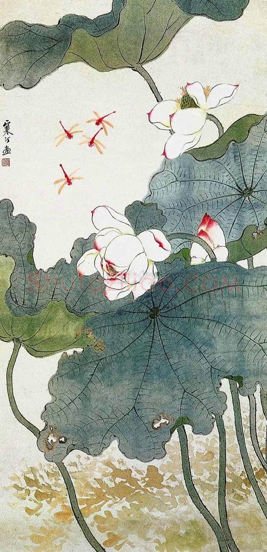 江寒汀荷花作品欣赏 | 书画讲解