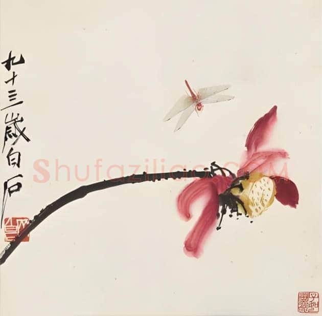 齐白石画笔下的蜻蜓,写实功底一流! | 书画学堂