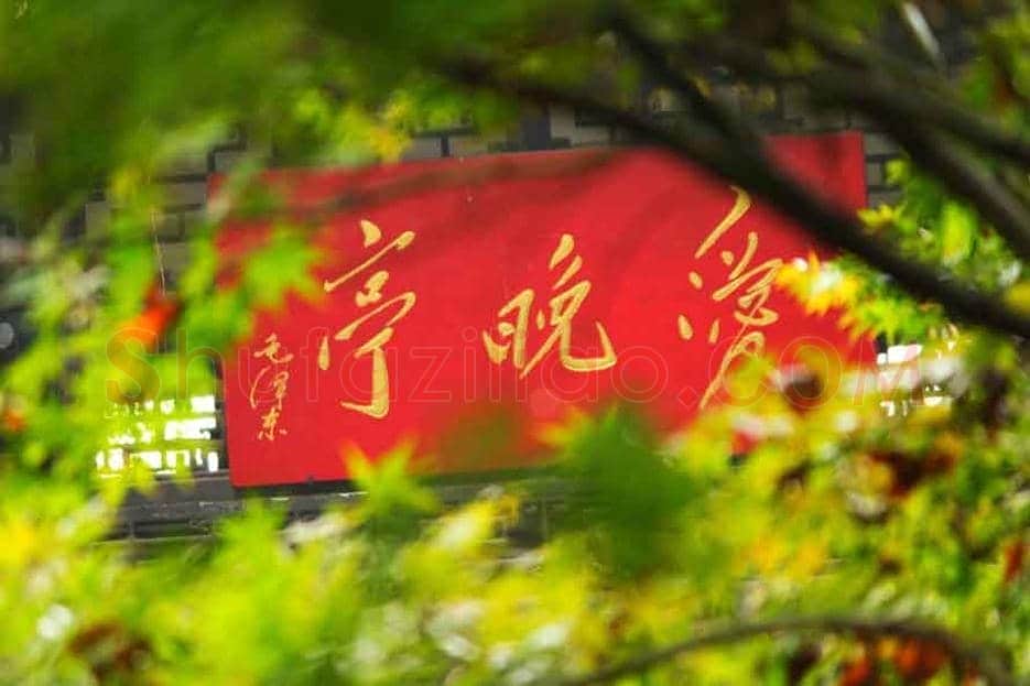 名家笔下的《爱晚亭》欣赏 | 书画科普