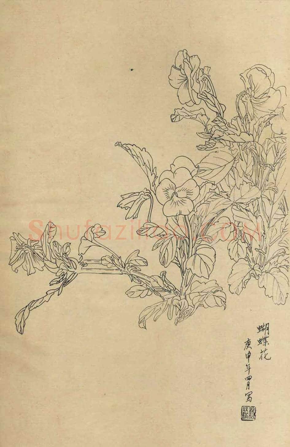 百花图谱大全【白描画】 | 书画资料