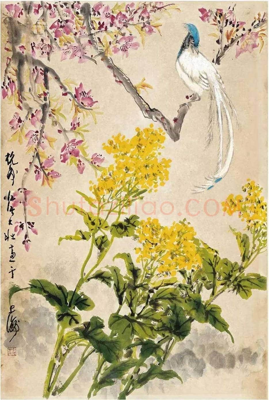 海上花鸟四大家笔下的作品，让人醉！ | 书画学堂