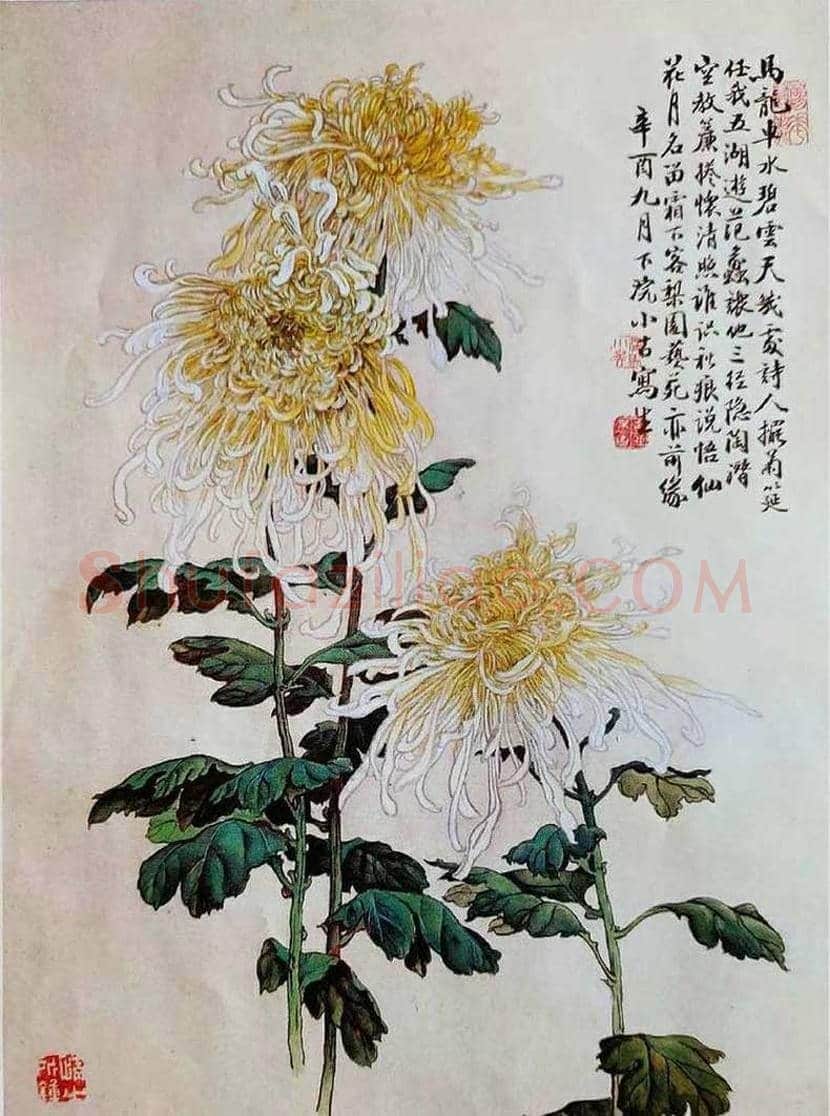 王小古作品欣赏 | 书画科普
