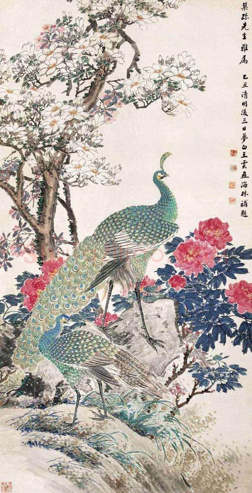 王梦白花鸟画作品欣赏 | 书画讲解