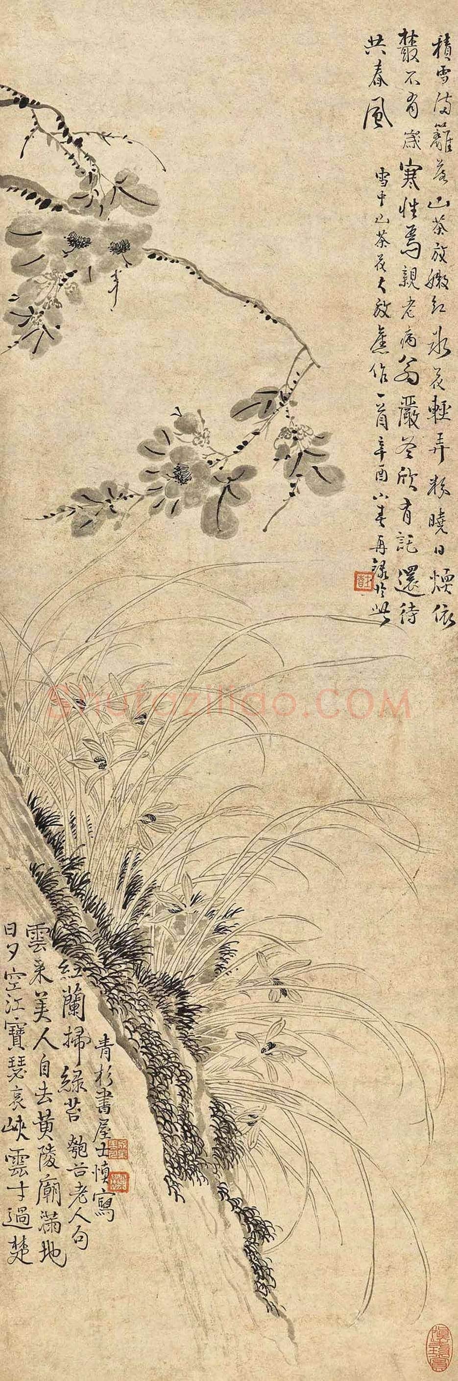 汪士慎:老觉梅花是故人 | 书画学堂