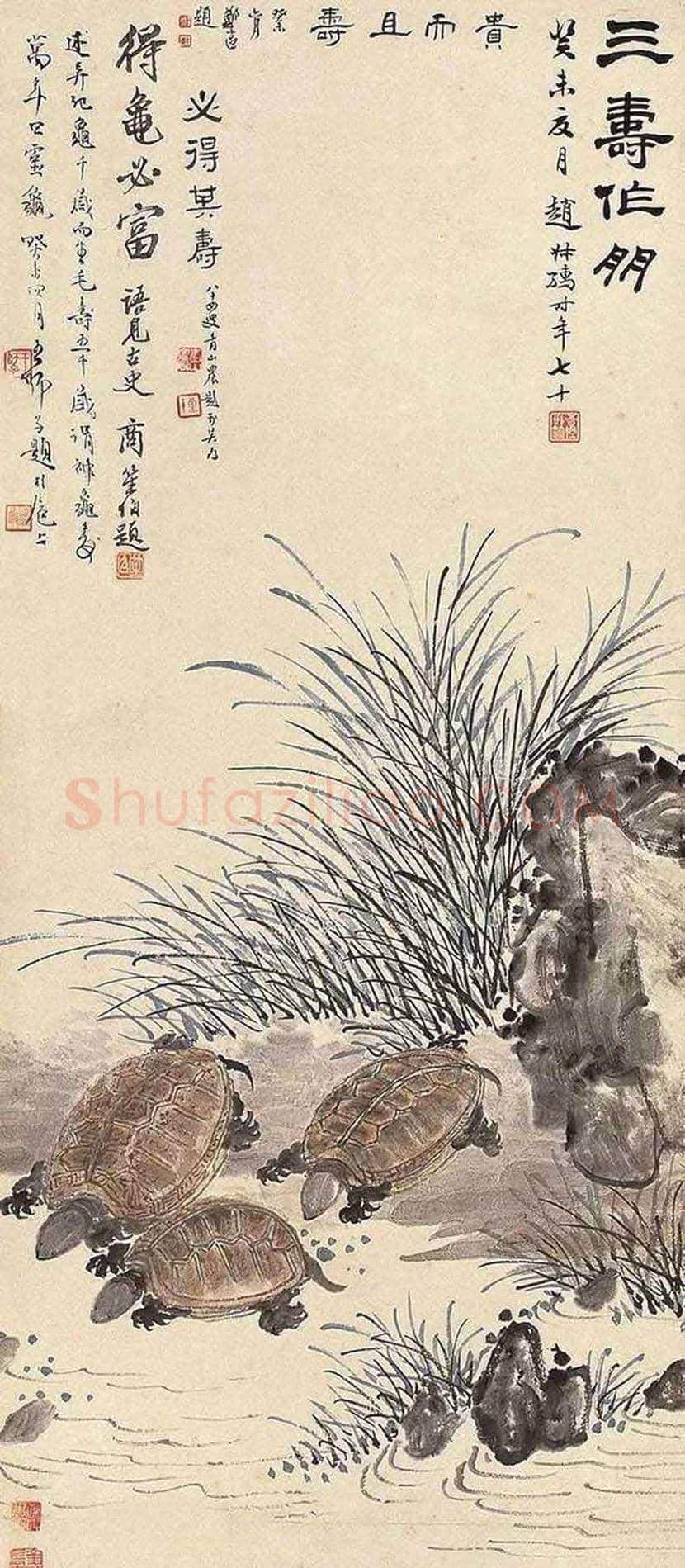 赵叔孺花鸟画欣赏 | 书画科普