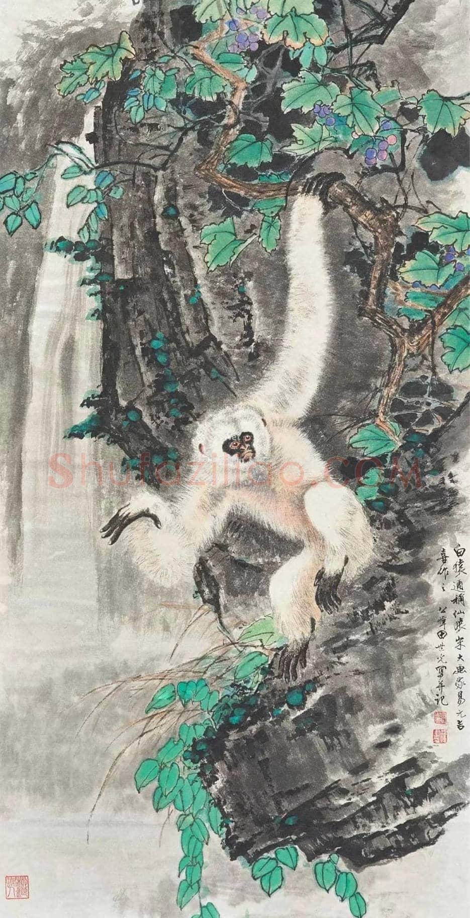 田世光猿猴作品精选 | 书画文摘