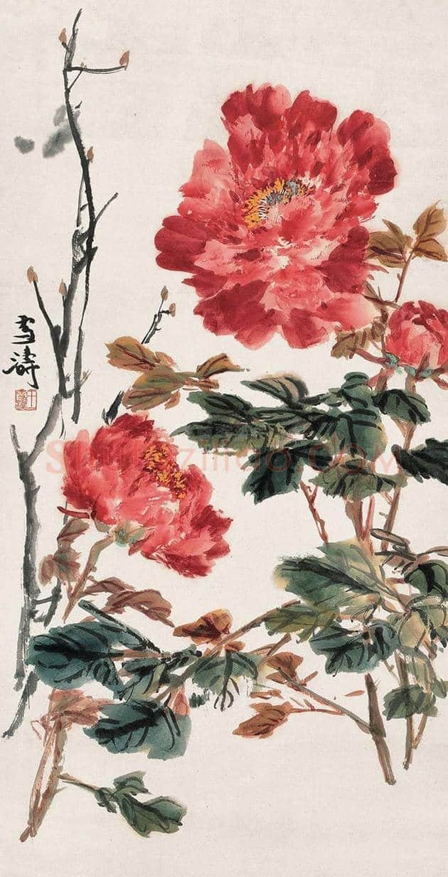 王雪涛国画牡丹欣赏 | 书画学堂