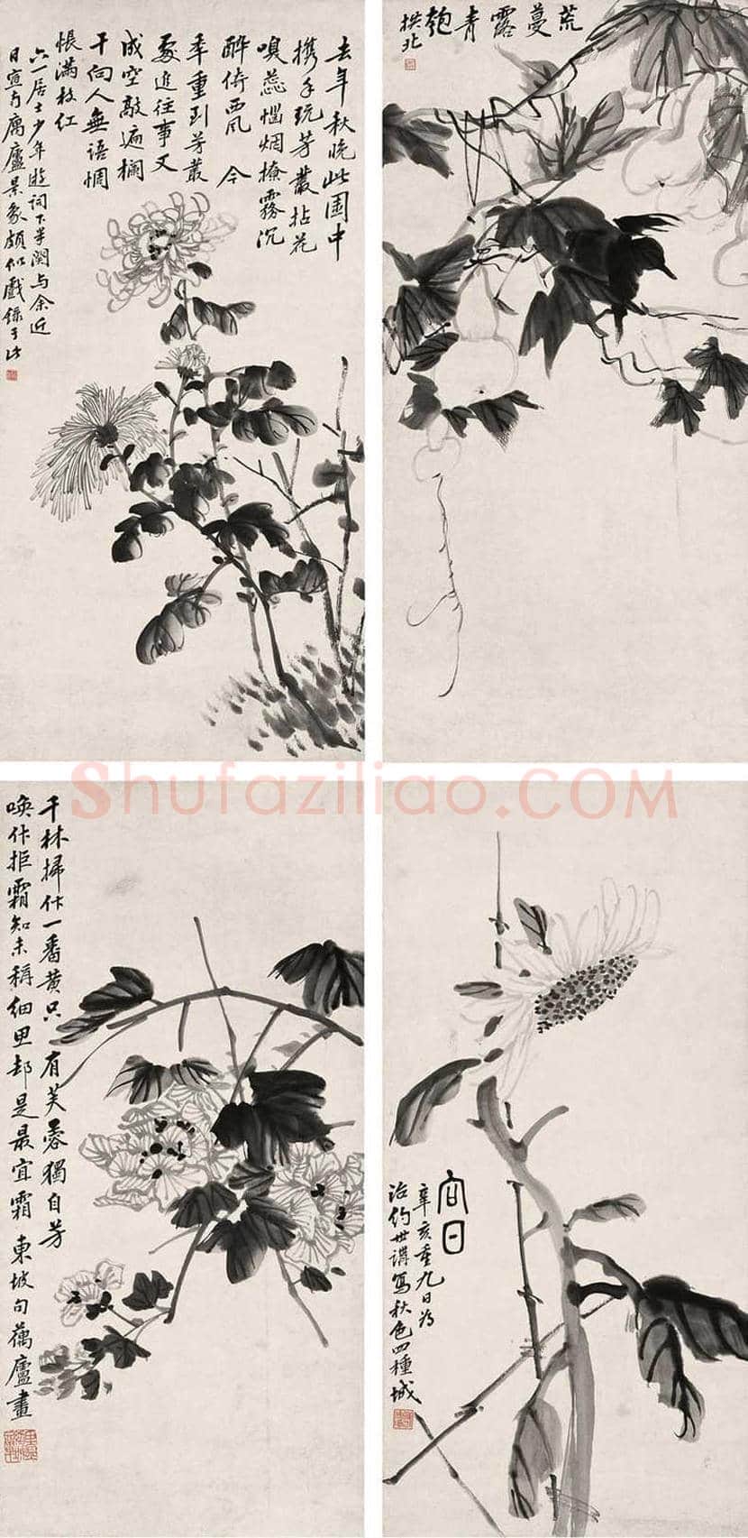 金城花鸟画作品欣赏 | 书画学堂