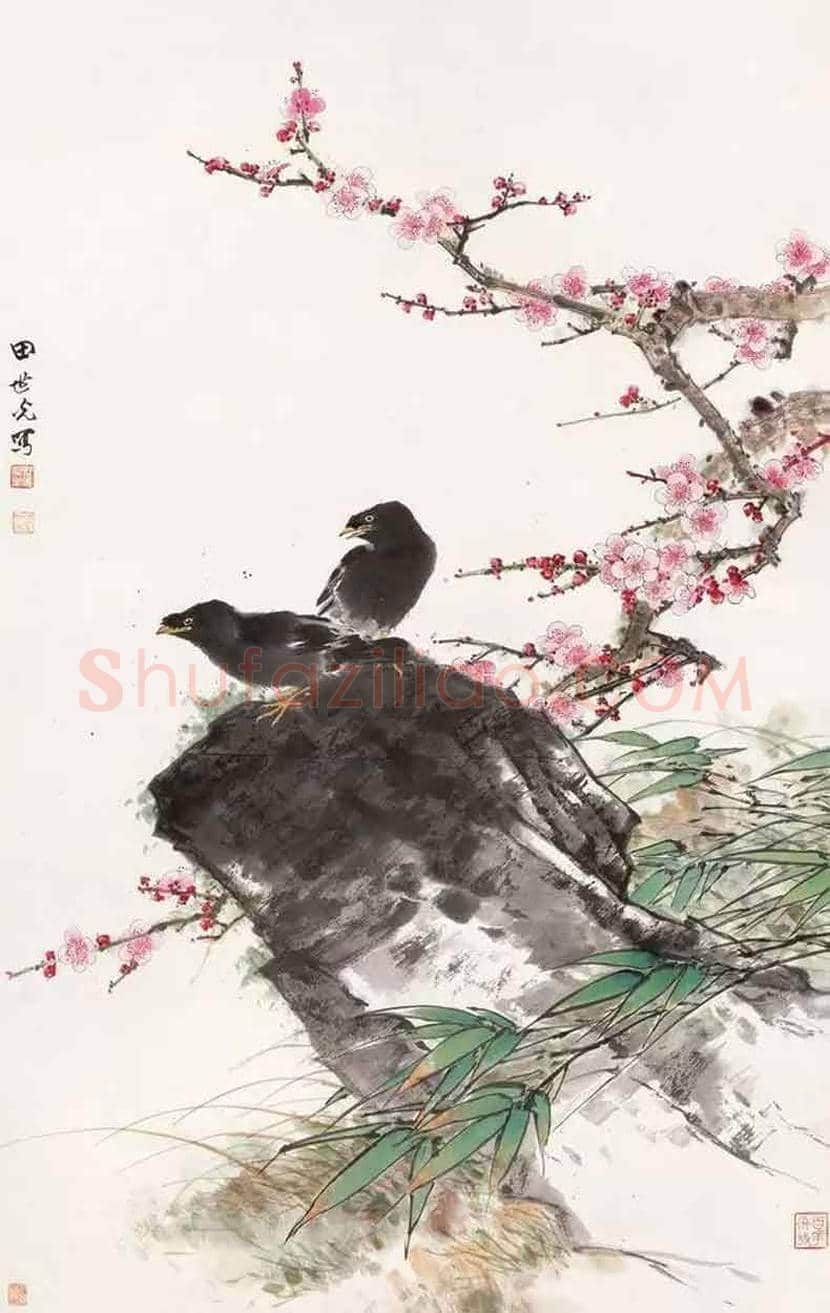 田世光花鸟画作品欣赏 | 书画科普