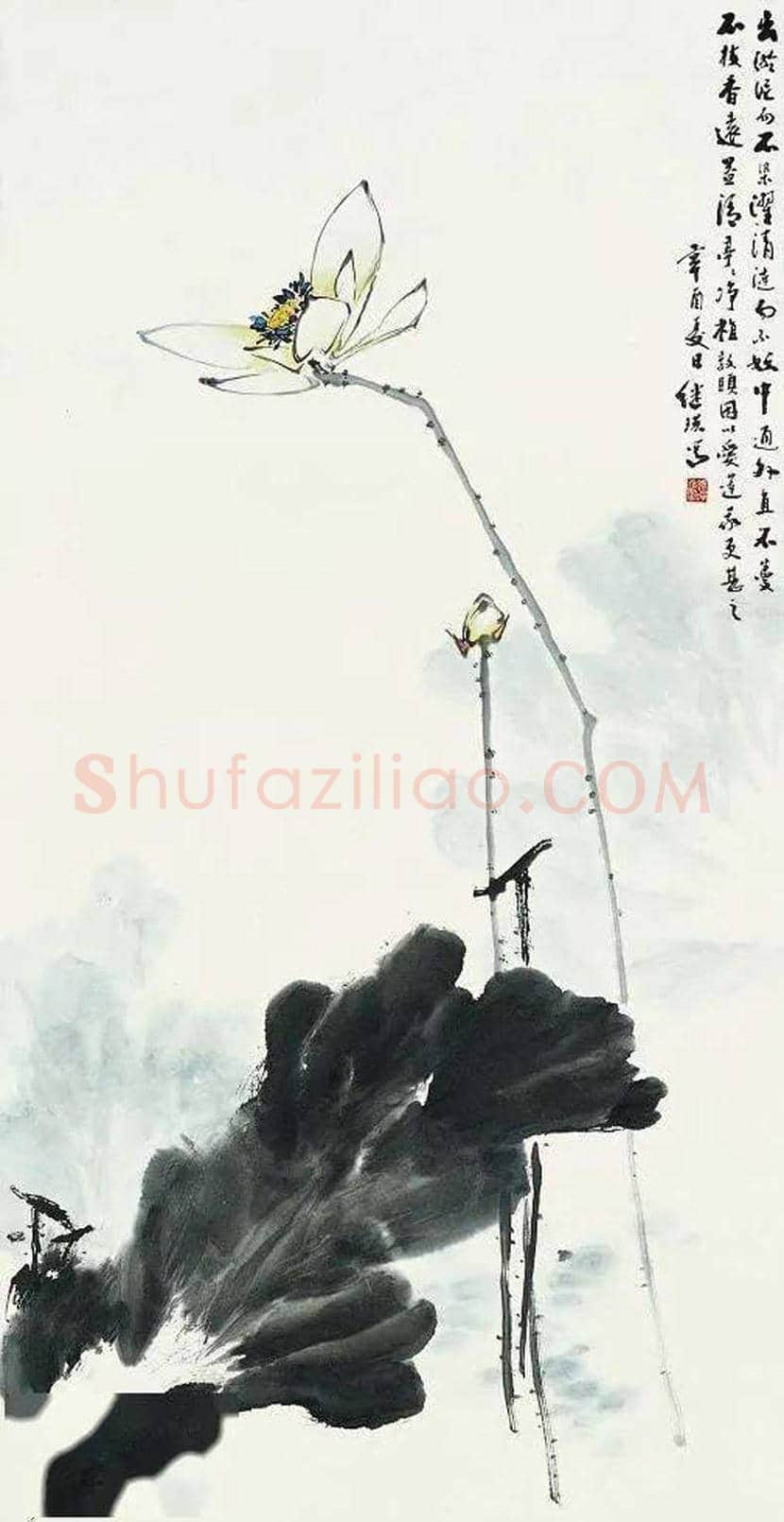 刘继瑛花鸟画欣赏 | 书画知识