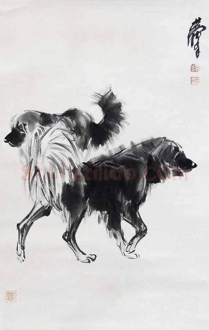 黄胄笔下的猫猫狗狗 | 书画讲解