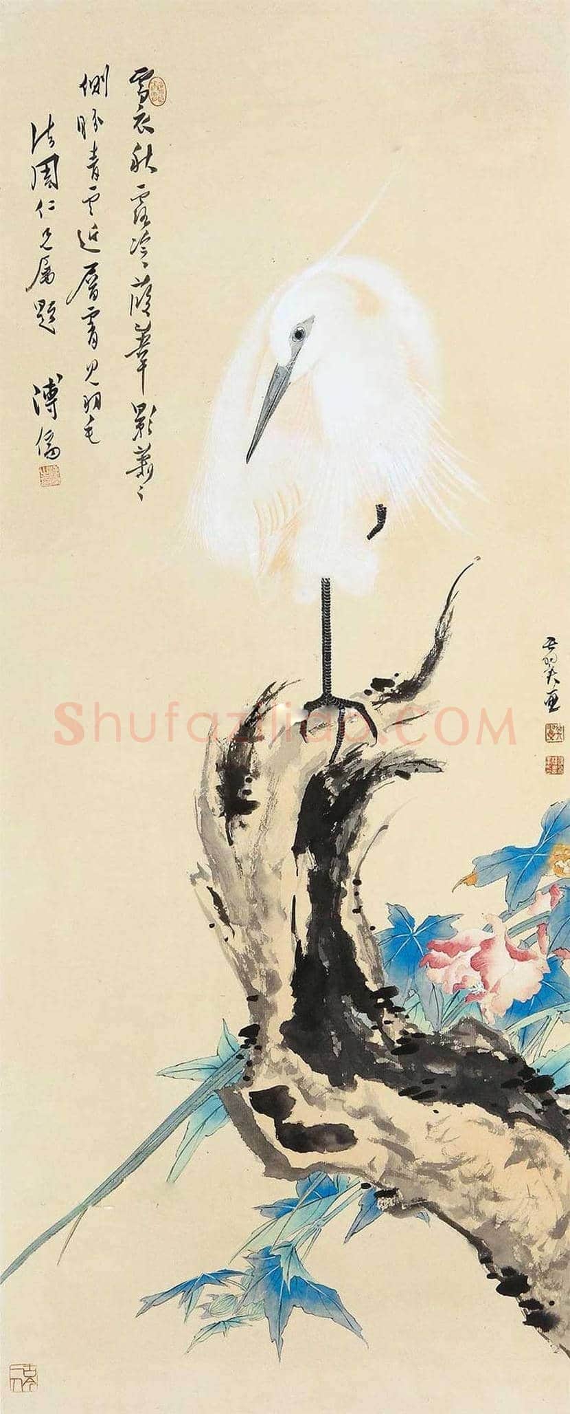 张其翼花鸟画作品欣赏 | 书画科普