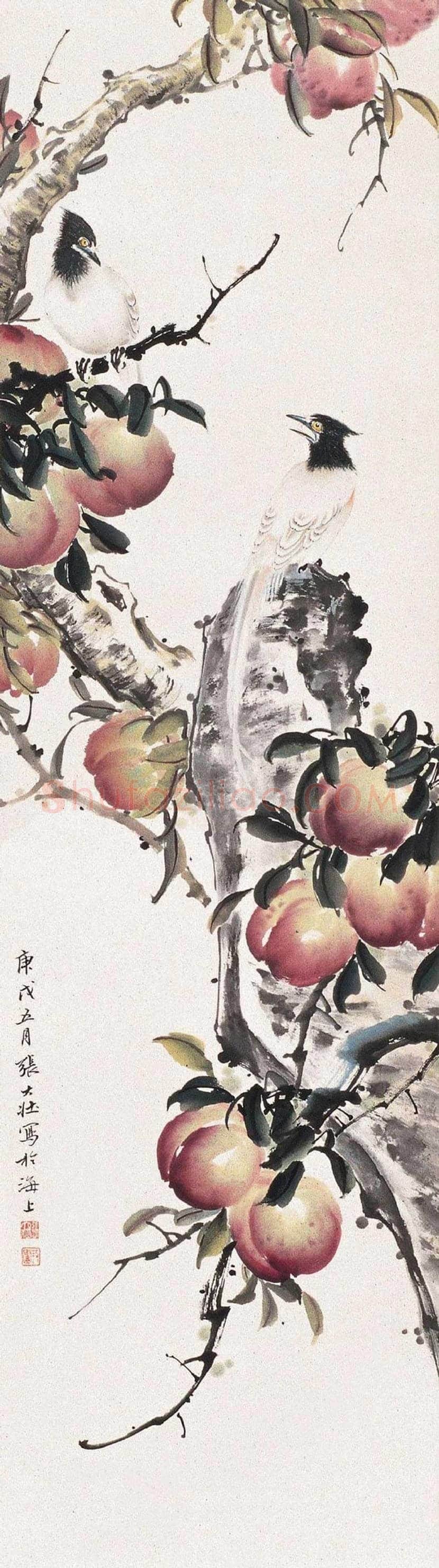 张大壮花鸟画作品欣赏 | 书画文摘