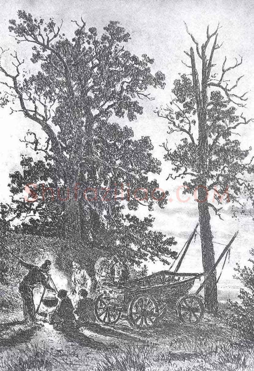 俄罗斯大师希施金作品欣赏 | 书画科普