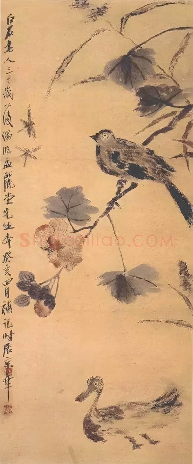 谢稚柳等名家笔下芙蓉花开 | 书画百科
