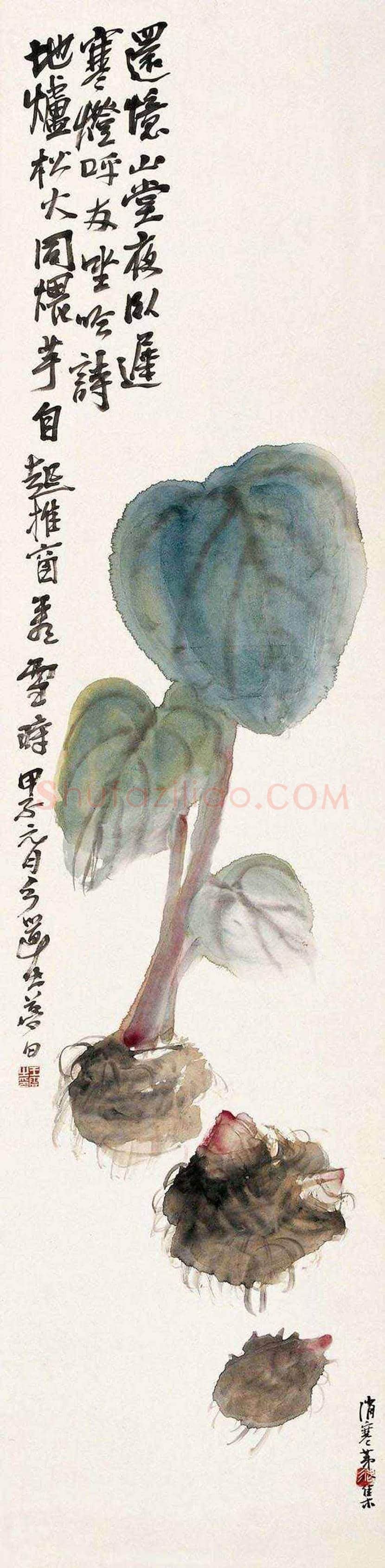 王梦白花鸟画作品欣赏 | 书画讲解