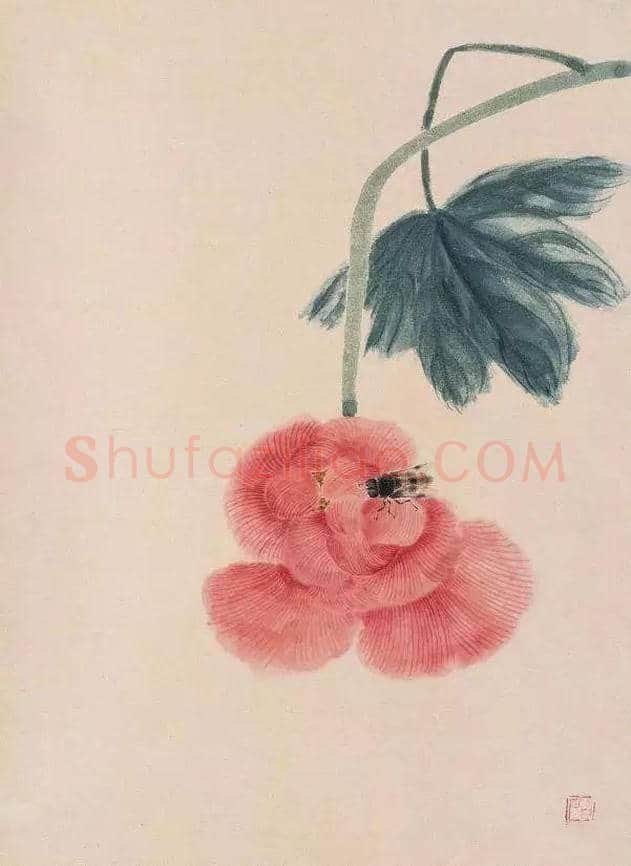 谢稚柳等名家笔下芙蓉花开 | 书画百科