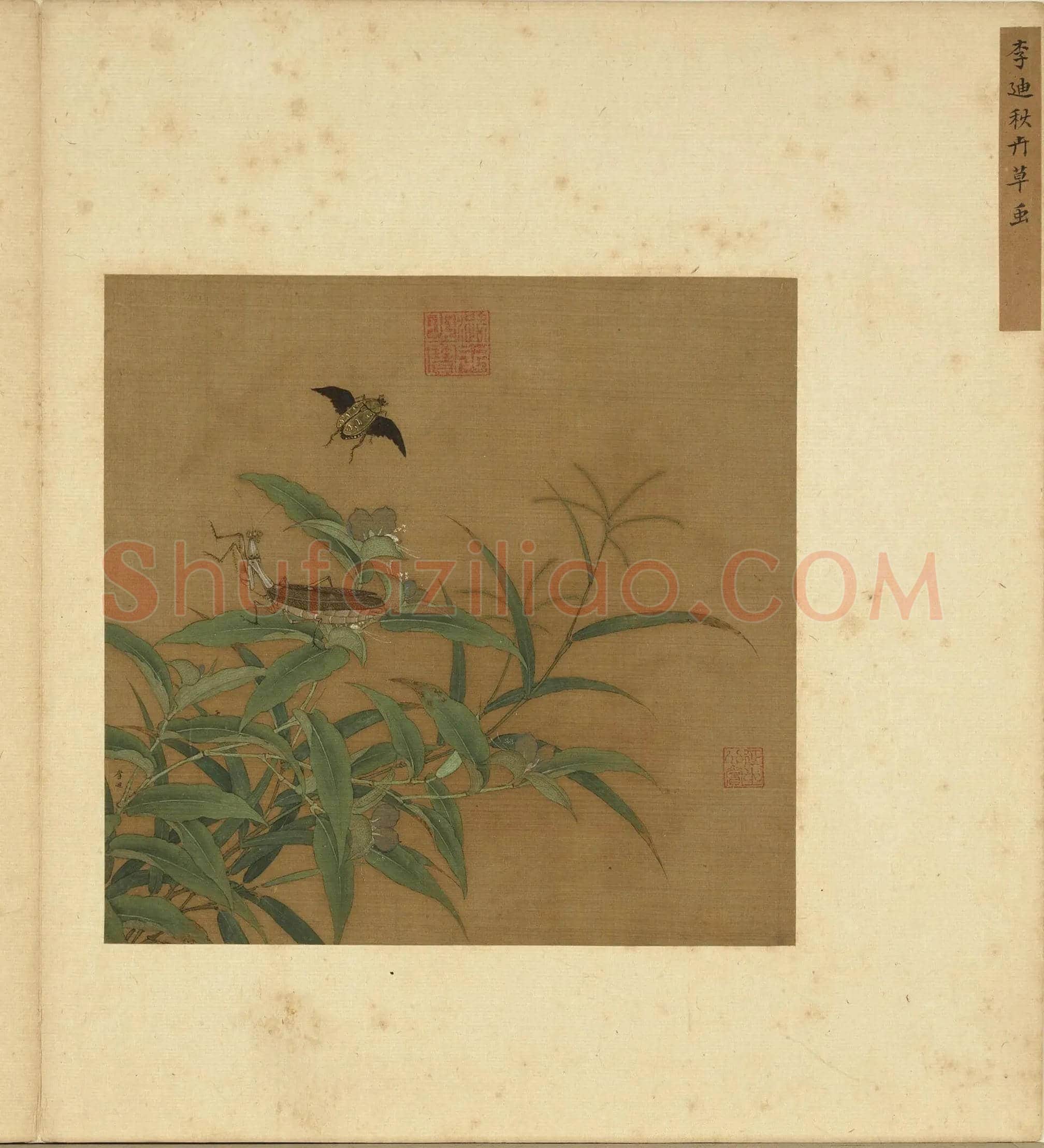 李迪作品《秋卉草虫》欣赏 | 书画文摘