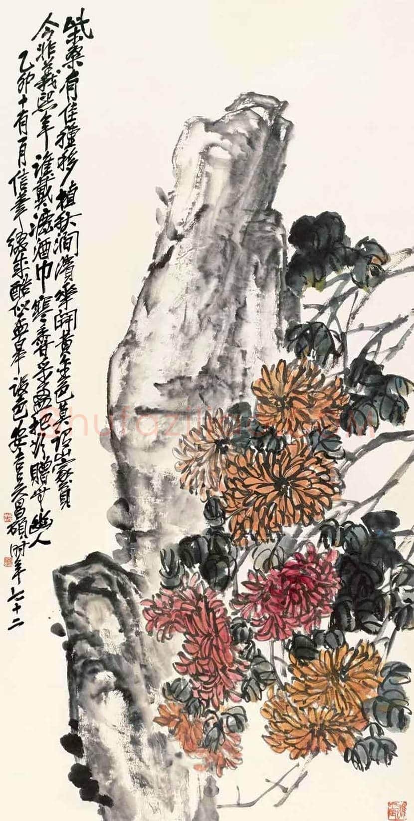 吴昌硕笔下的菊花 | 书画讲解