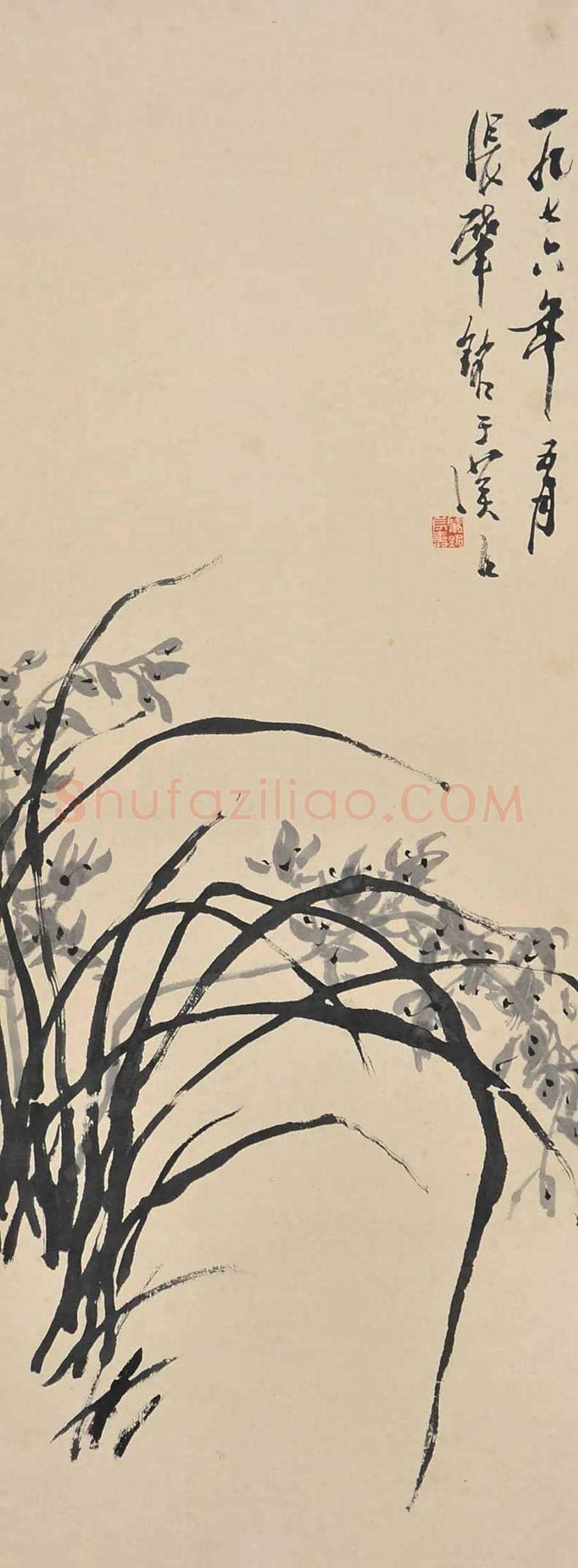 张肇铭花鸟画欣赏 | 书画学堂