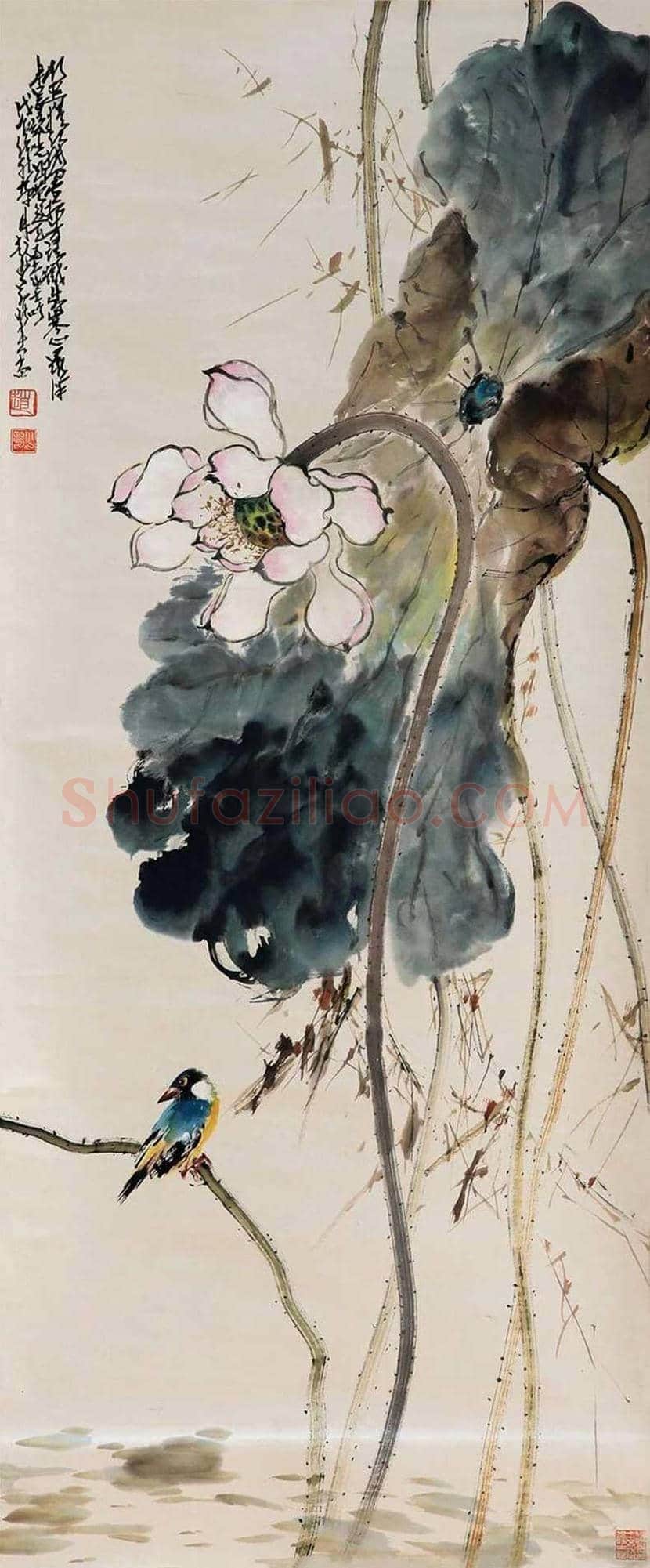 赵少昂的夏日荷塘，美！ | 书画资料