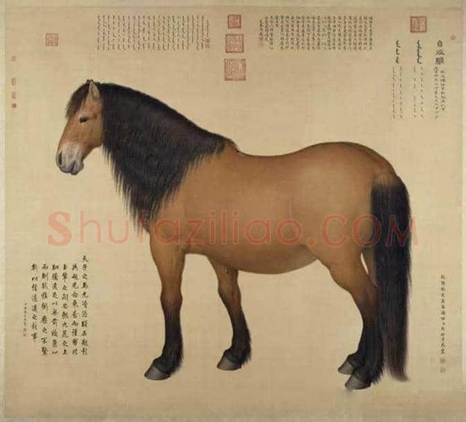 郎世宁:见证大清帝国的强盛 | 书画学堂