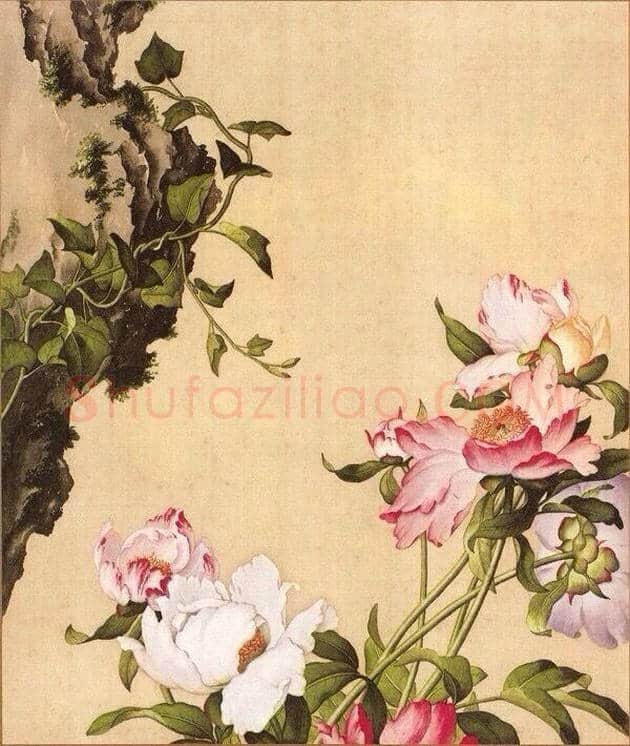 郎世宁笔下的中国花鸟 | 书画知识