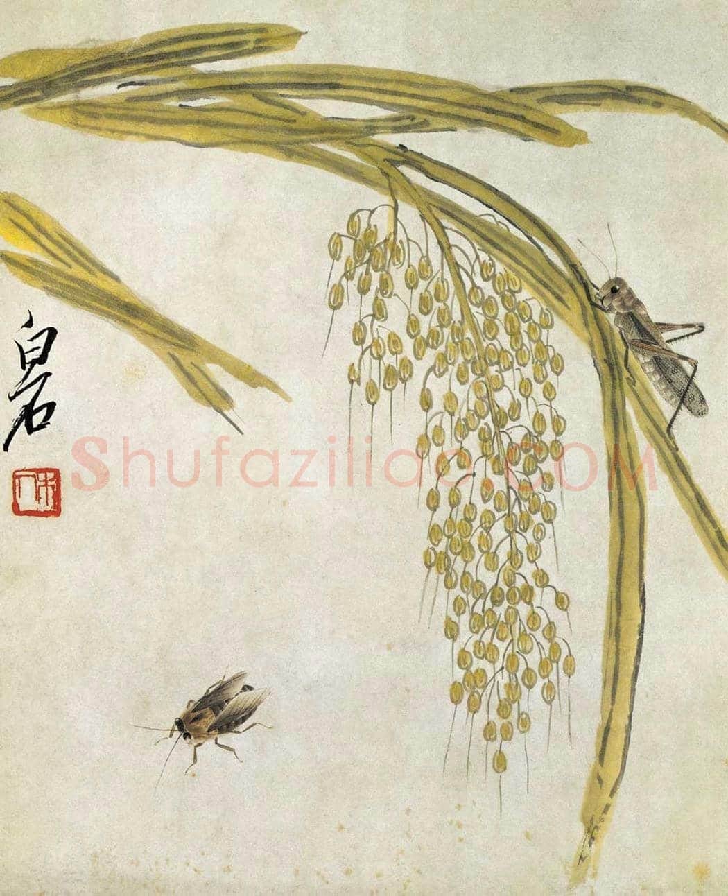 齐白石作品高清大图欣赏 | 书画百科