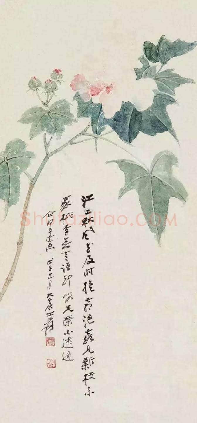 谢稚柳等名家笔下芙蓉花开 | 书画百科