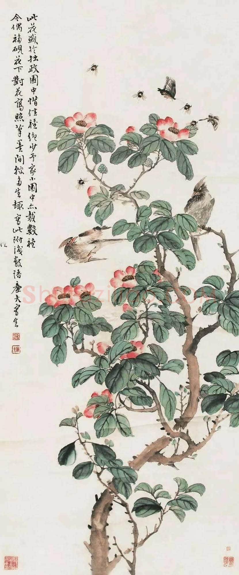 陆恢花鸟画作品欣赏 | 书画讲解