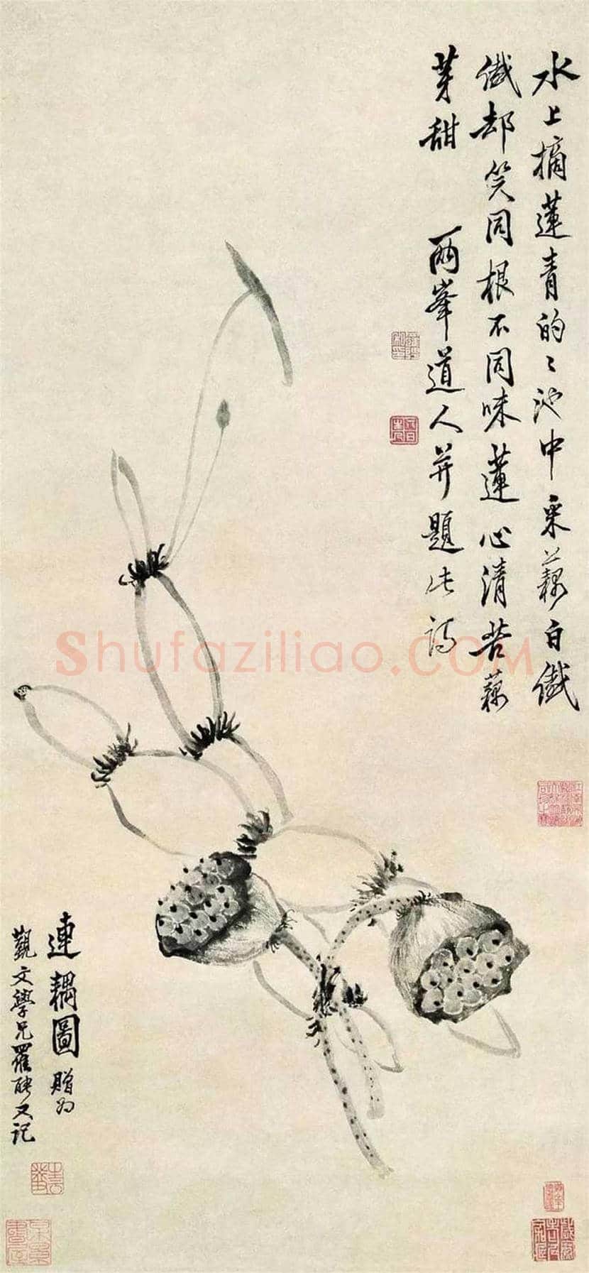 大师笔下的莲藕,味道各不同! | 书画科普