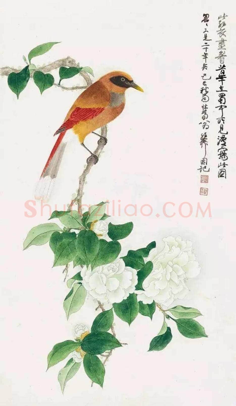 陈佩秋国画作品欣赏 | 书画文摘