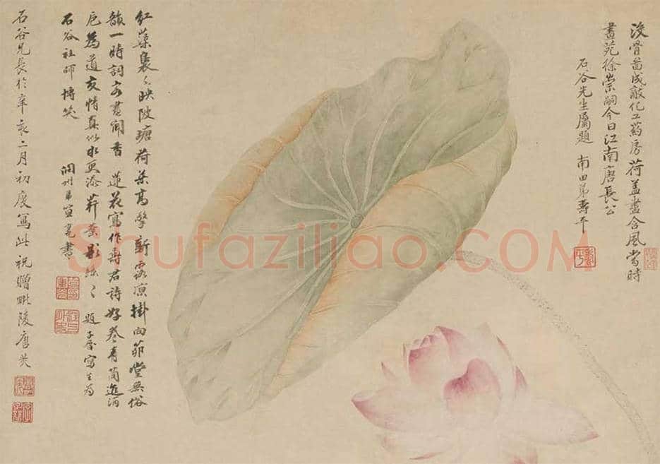唐苂恽寿平《红莲绿藻图》欣赏 | 传世国画作品
