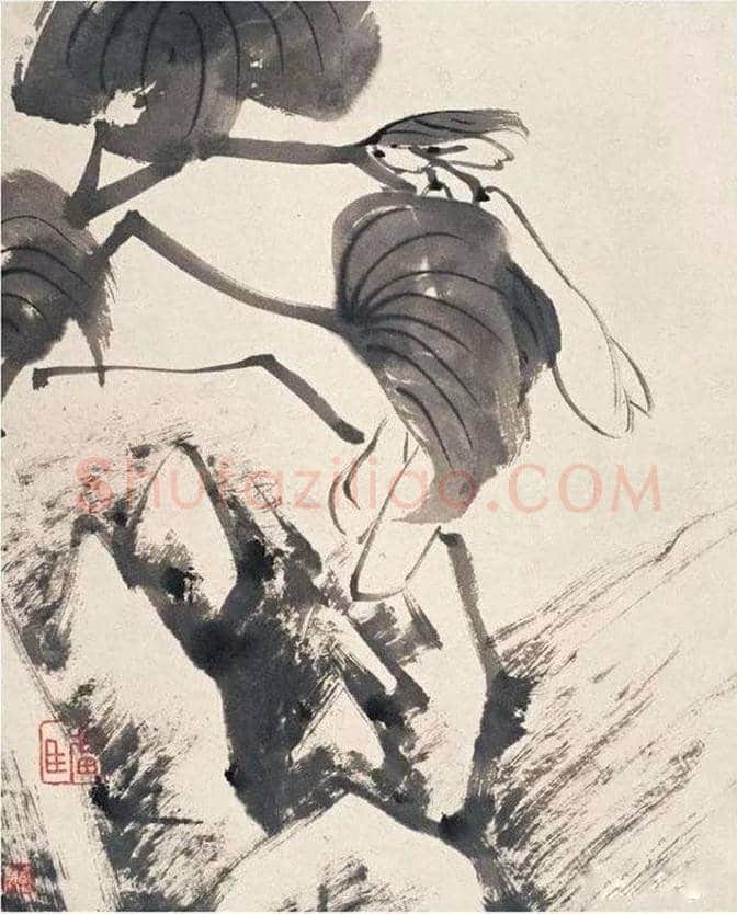 张大千旧藏！八大、石涛的合作之作《杂画册》 | 书画百科