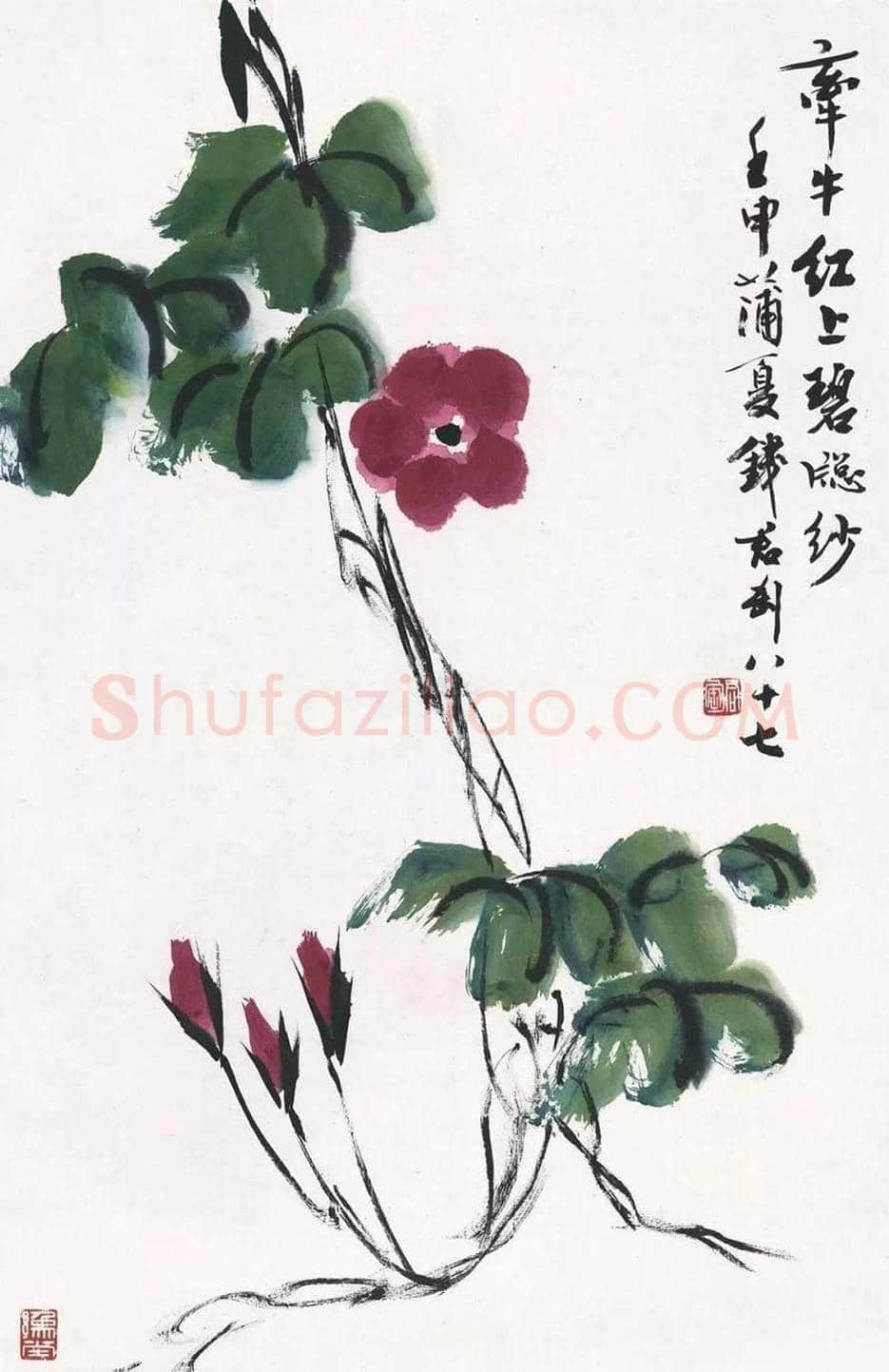 钱君匋笔下的牵牛花,清新奔放 | 书画文摘
