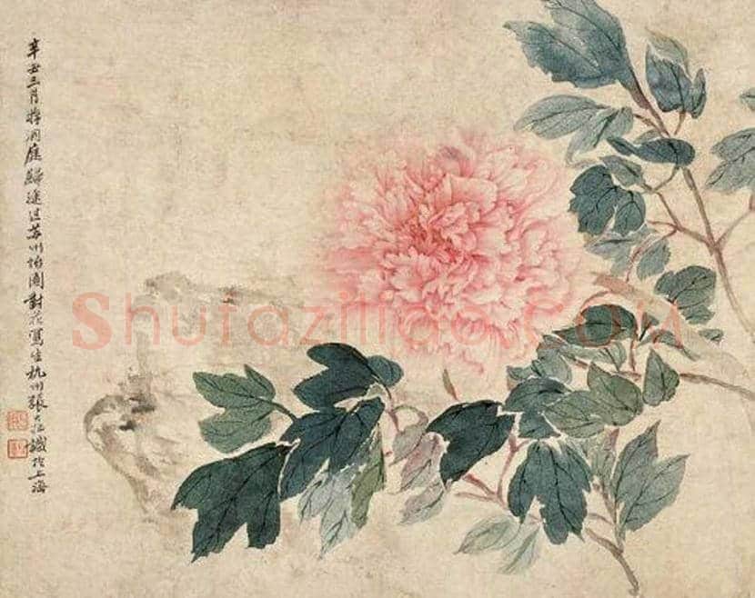 张锡武牡丹作品欣赏 | 书画资料