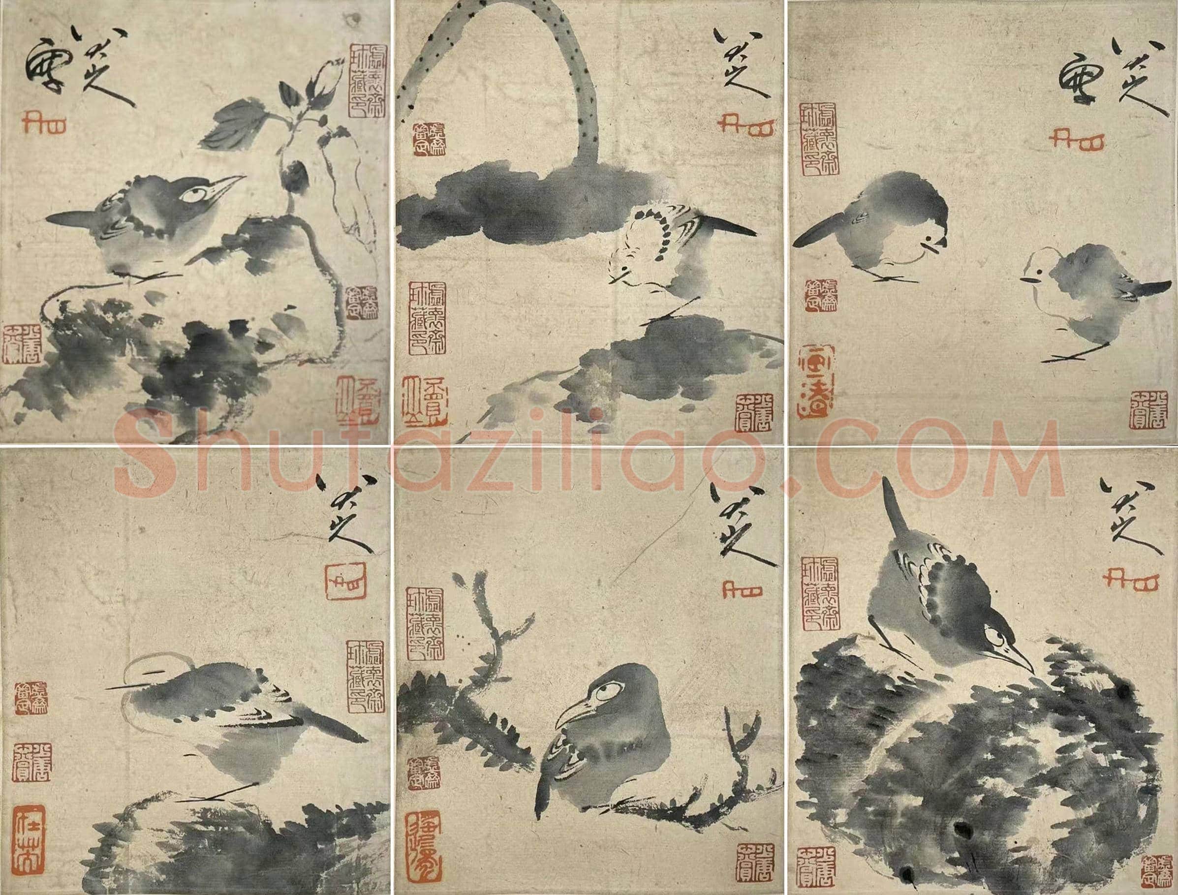 笔简意浓——八大山人极品《花鸟册》 | 国画赏析
