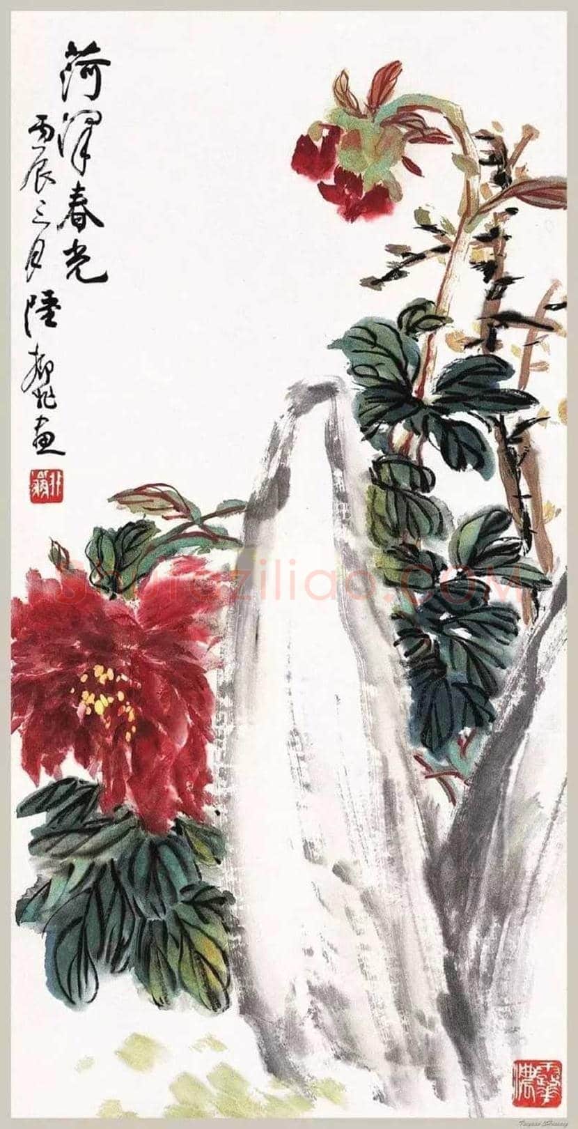 陆抑非牡丹作品欣赏 | 书画科普