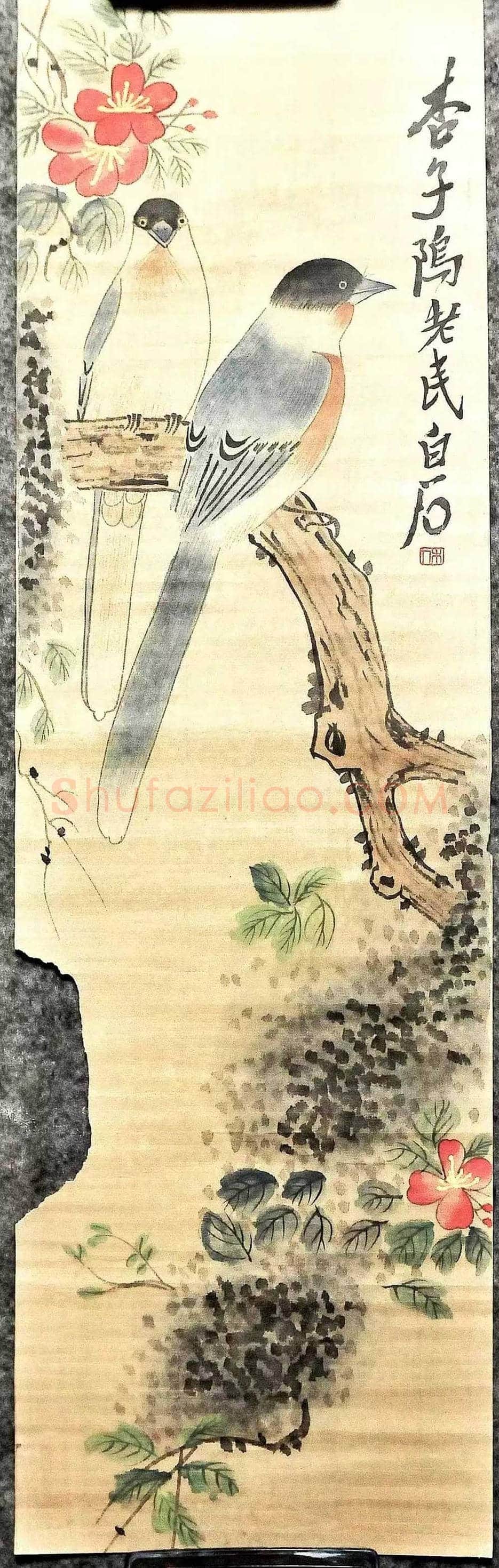 齐白石早期绘画的认识与鉴赏 | 书画讲解