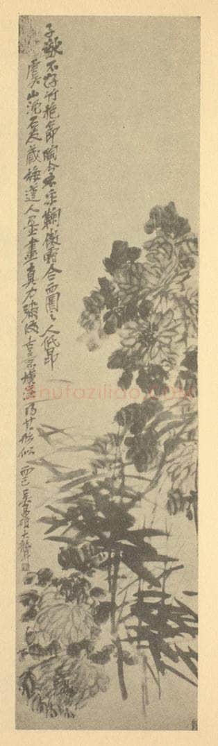 清 吴昌硕《菊花图》国画作品