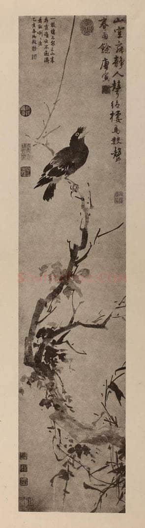 明 唐寅《古木栖鸟图轴》国画作品