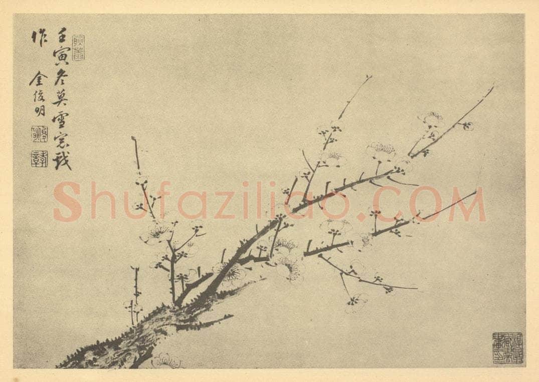 清 金俊明《梅花（十二）》国画作品