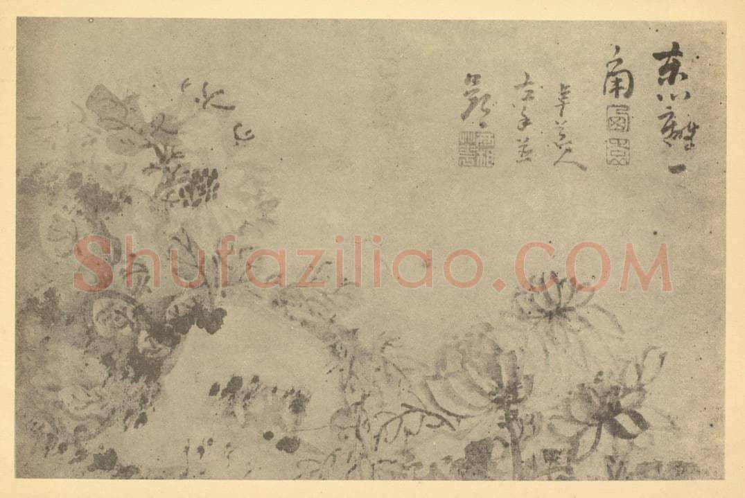 清 高凤翰《菊石》国画作品