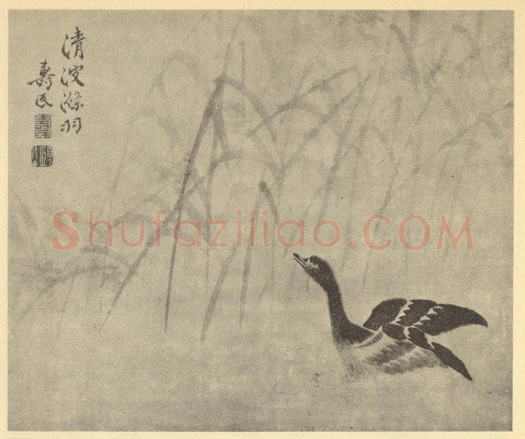 清 边寿民《芦雁图(七)》国画作品